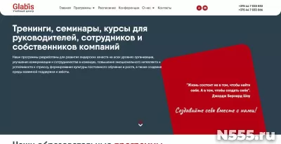 Разработка сайта / Создание сайта под ключ